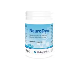 NeuroDyn