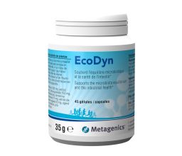 EcoDyn